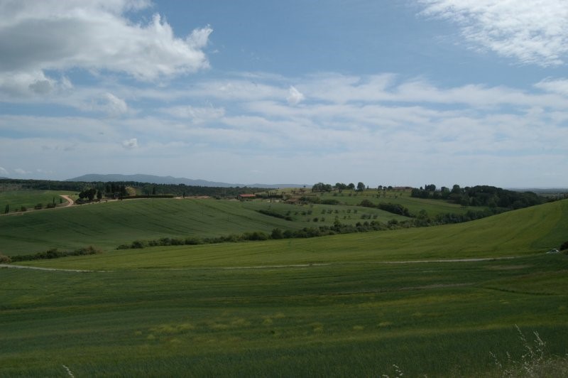 BIBBONA CAMPAGNA